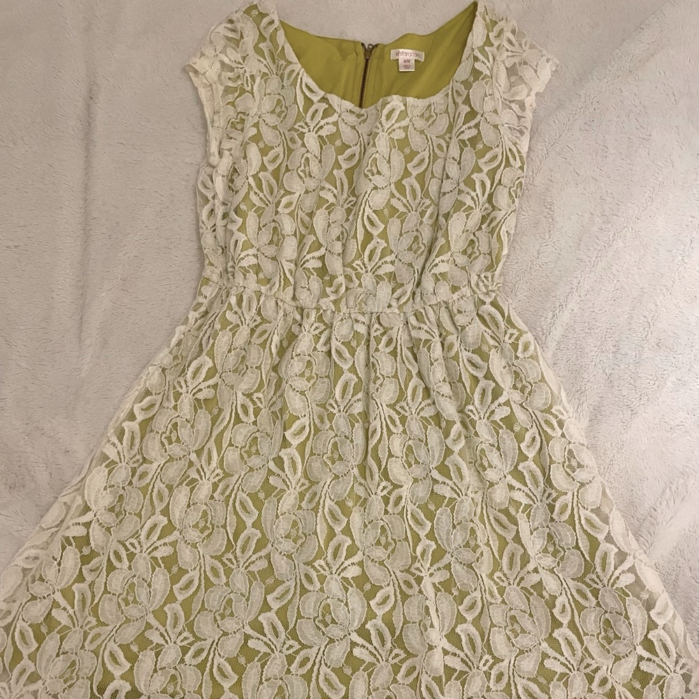Xhilaration white lace over a musky green dress
